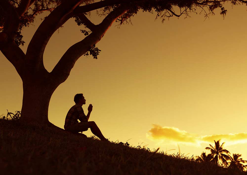 Celebrate sober anniversaries and recovery milestones