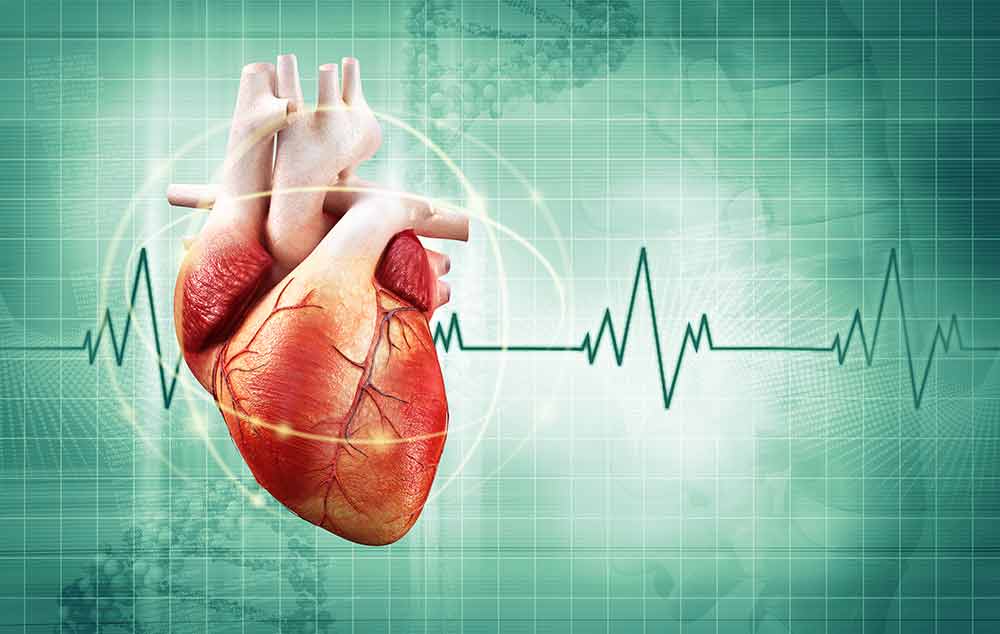 Effects of alcohol on the heart.