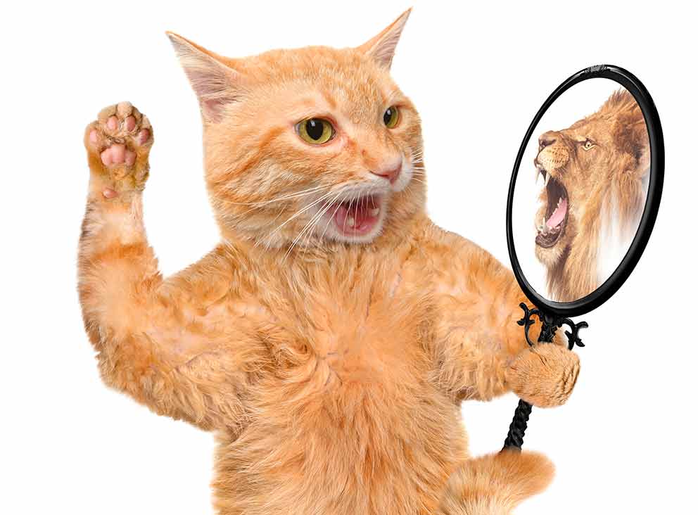 Self affirmations in the mirror help recovery.