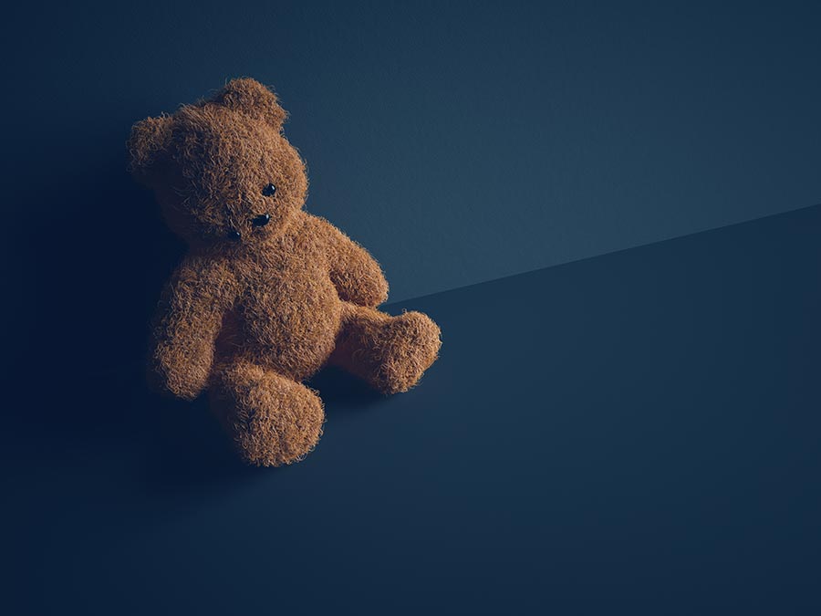 Teddy bear