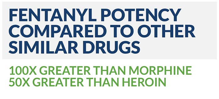 Fentanyl potency compared to similar drugs