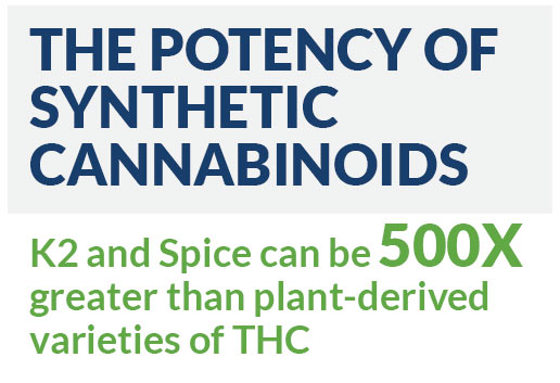 The potency of synthetic cannabinoids (“K2” and “Spice”) can be 500 times greater than plant-derived varieties of THC