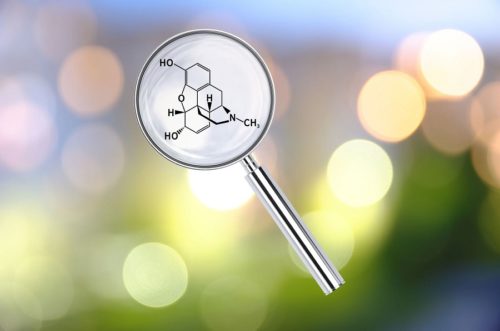 A graphic of a magnifying glass with the chemical make up for morphine in the center.