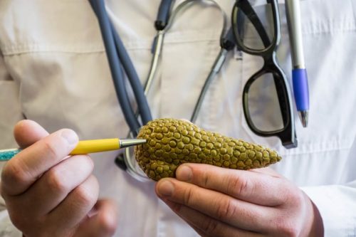 Doctor presenting a small fruit