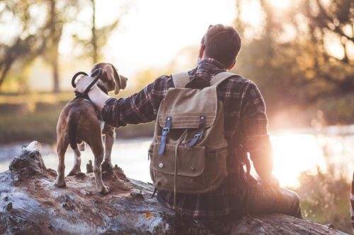 Man and dog relaxing on a log