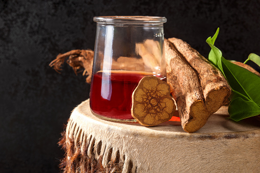 A glass of Ayahuasca root tea and the raw root on drum.