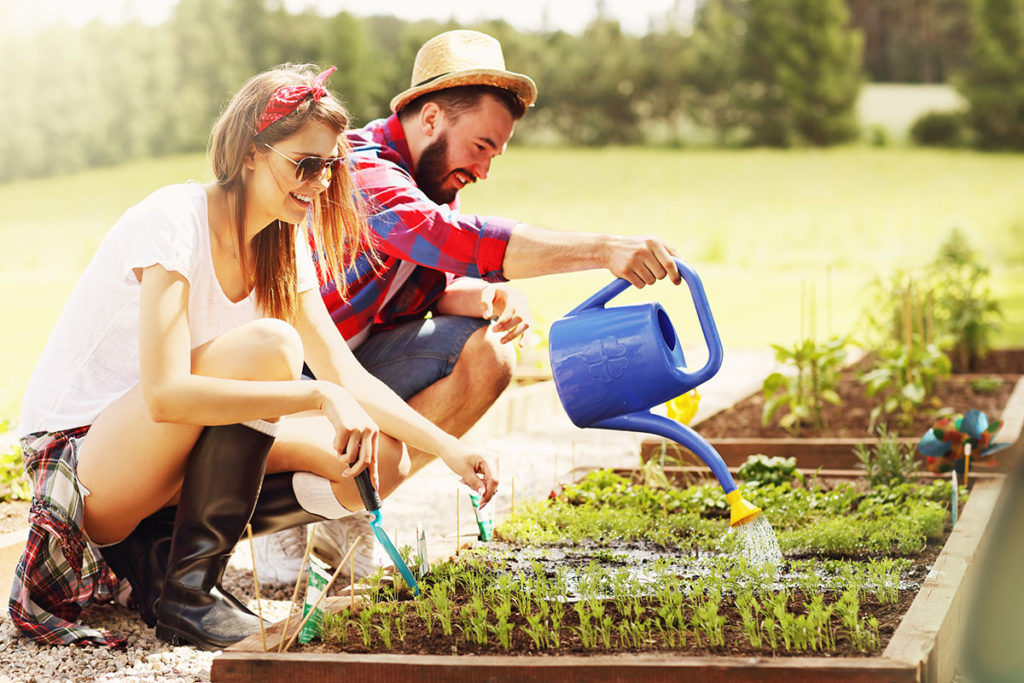 A caucasian male and female smiling together while planting herbs on a sunny day.