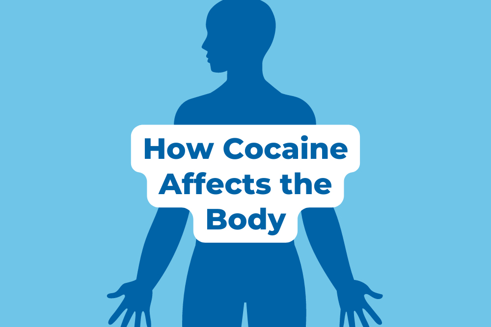 A blue banner with the silhouette of a body and the phrase 'How cocaine affects the body' in white