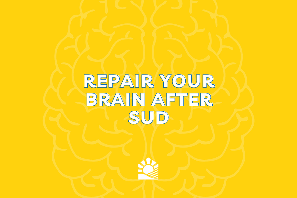 A yellow banner with the outline of a brain overlaid. The phrase 'Repair your brain after SUD' and Beach House logo are in white.