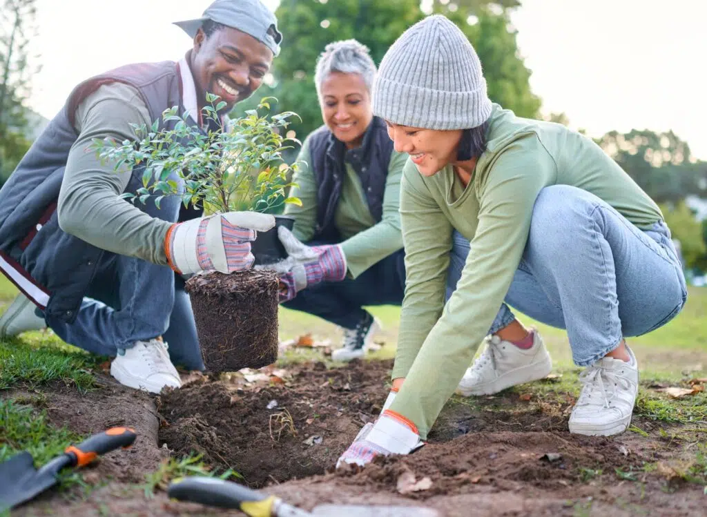 Group of diverse volunteers planting shrubs and gardening together in a park, working collaboratively on environmental conservation project.